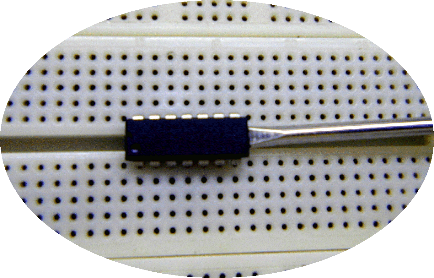 Image1